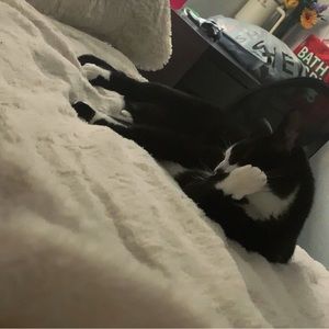 Meet your Posher, Lexie